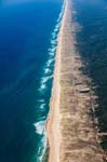 Lege Cap Ferret 021