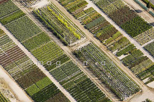 St Avaugourd des Landes 003