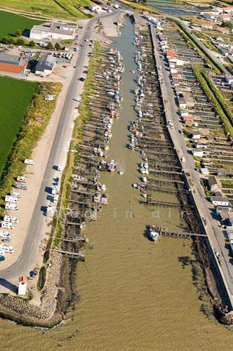 Beauvoir sur mer 055