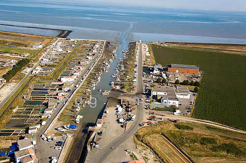 Beauvoir sur mer 085