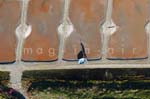 Beauvoir sur mer 184
