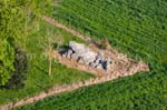Le_Bernard_019