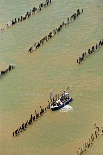 La Faute sur mer 095