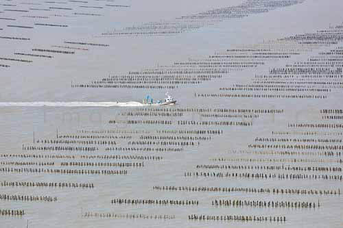 La Faute sur mer 133