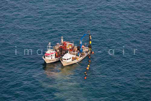 La Faute sur mer 213
