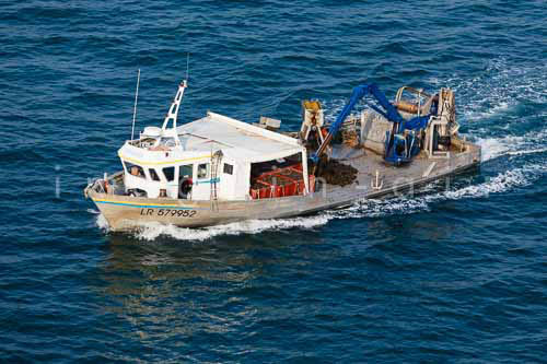 La Faute sur mer 226