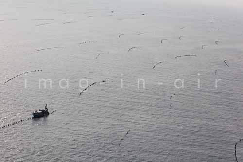 La Faute sur mer 240