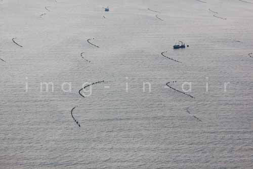 La Faute sur mer 243