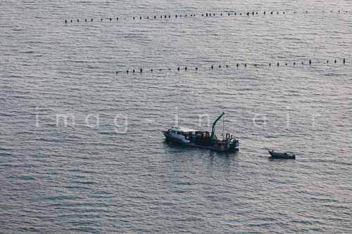 La Faute sur mer 253
