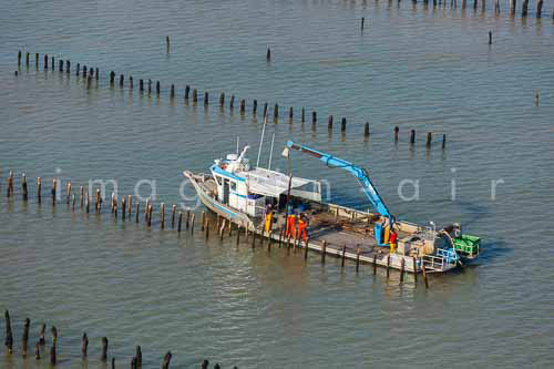 La Faute sur mer 267