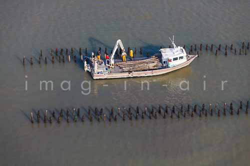 La Faute sur mer 276