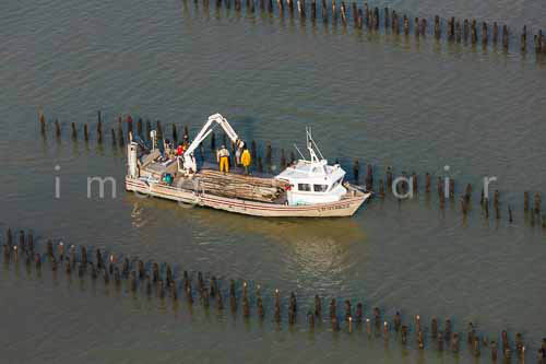 La Faute sur mer 277