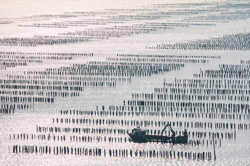 La Faute sur mer 282