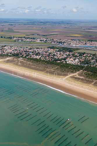 La Faute sur mer 316