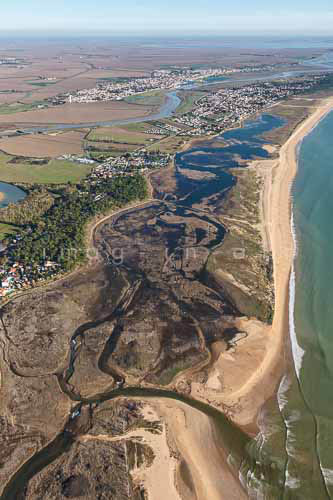 La Faute sur mer 335
