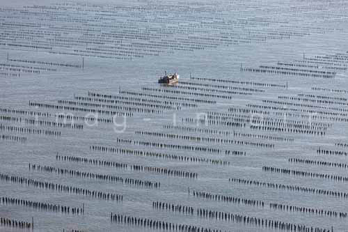 La Faute sur mer 354