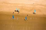 La Faute sur mer 061