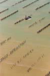 La Faute sur mer 093
