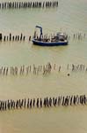 La Faute sur mer 107