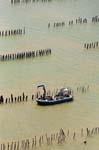 La Faute sur mer 108