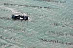 La Faute sur mer 115