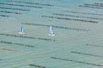La Faute sur mer 121