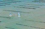 La Faute sur mer 122