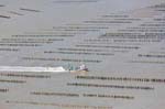 La Faute sur mer 134