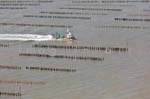 La Faute sur mer 137