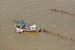 La Faute sur mer 142