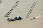 La Faute sur mer 146
