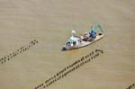 La Faute sur mer 162