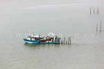 La Faute sur mer 209