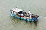 La Faute sur mer 211