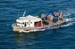 La Faute sur mer 226