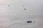 La Faute sur mer 229