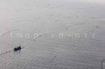 La Faute sur mer 240