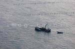 La Faute sur mer 253