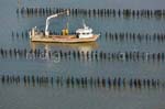 La Faute sur mer 264