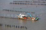 La Faute sur mer 266