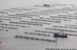 La Faute sur mer 269