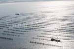 La Faute sur mer 272