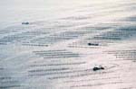 La Faute sur mer 288