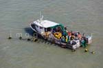 La Faute sur mer 298