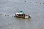 La Faute sur mer 299