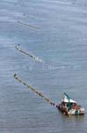 La Faute sur mer 304
