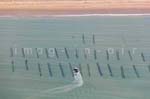 La Faute sur mer 312