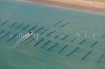 La Faute sur mer 313