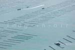La Faute sur mer 323