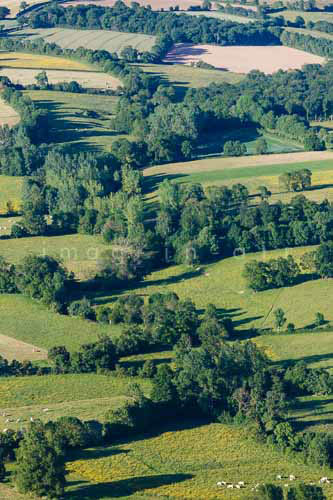 Foussais Payre 039